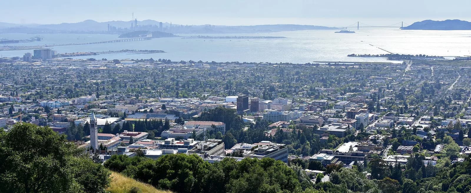 Berkeley with the bay in the distance