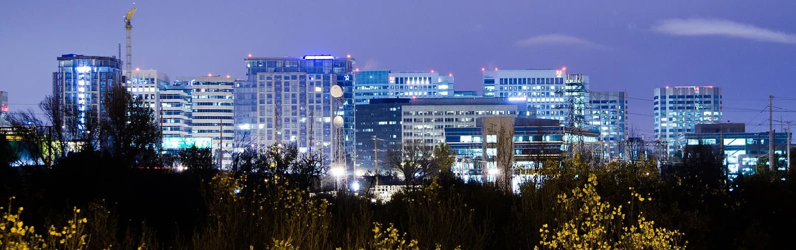 Downtown San Jose skyline at night