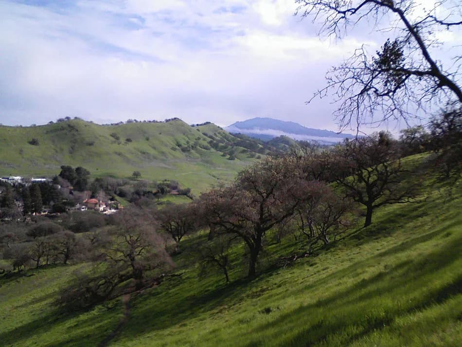 Shell Ridge Open Space in Walnut Creek